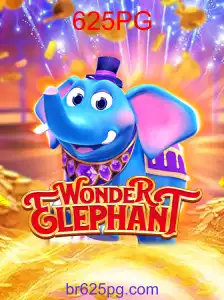 WonderElephant